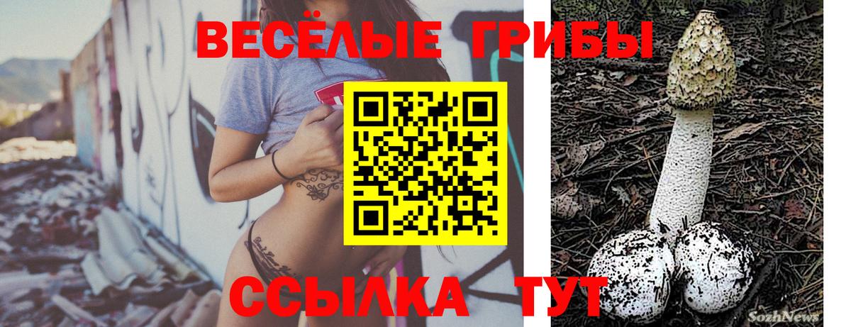 Галлюциногенные грибы ЛСД  Галлюциногенные грибы мухоморы  Чапаевск  Вход с VPN 